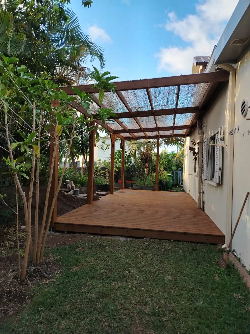Terrasse pin et pergola couverte, ajustée autour d’un arbre