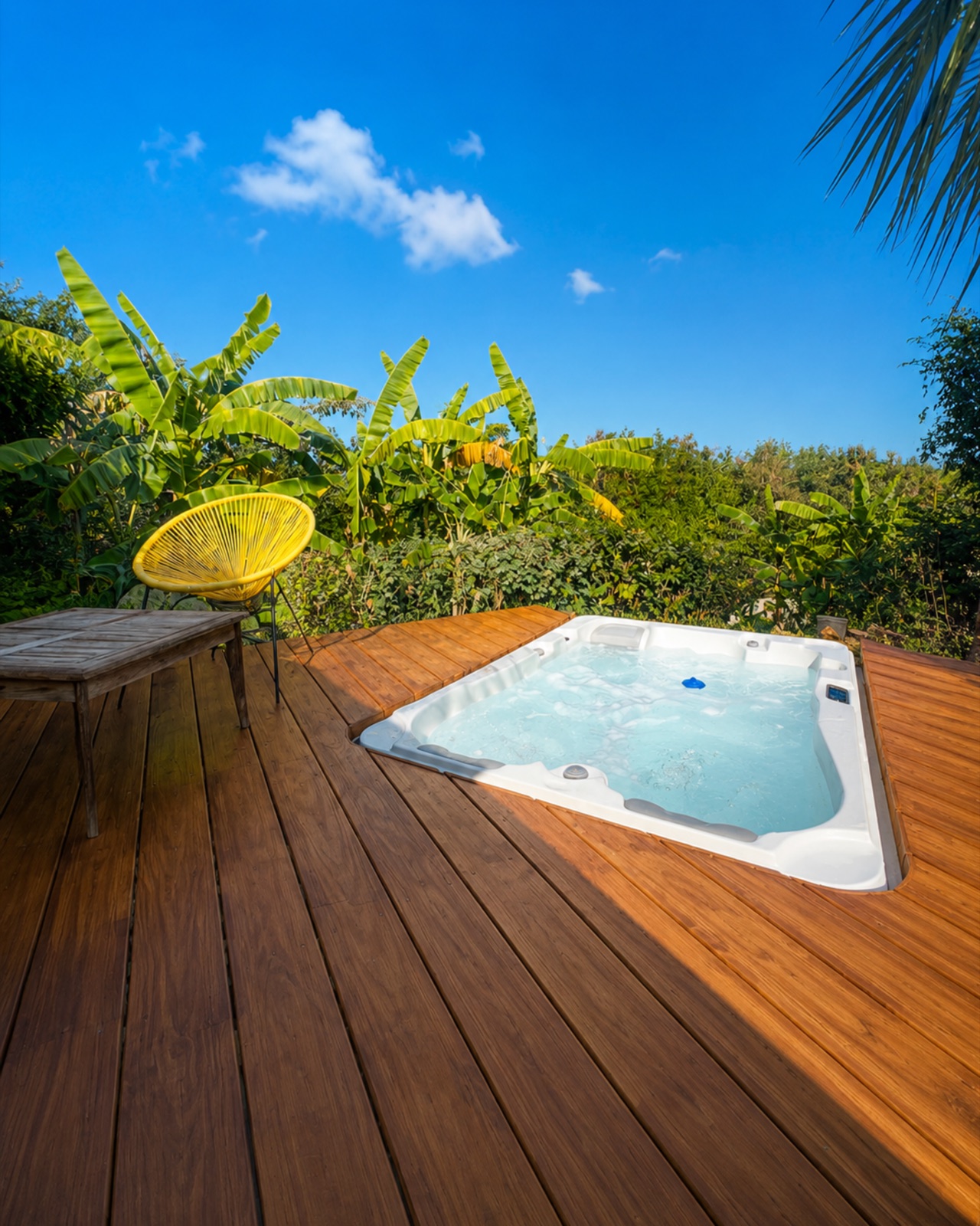 Spa & terrasse bois